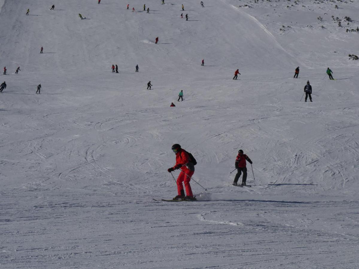 Altavista Mountain Apartment Samokov Luaran gambar