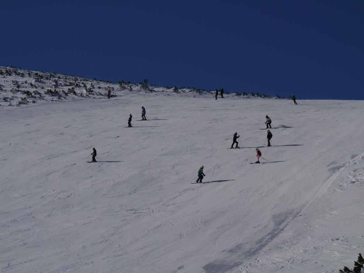 Altavista Mountain Apartment Samokov Luaran gambar