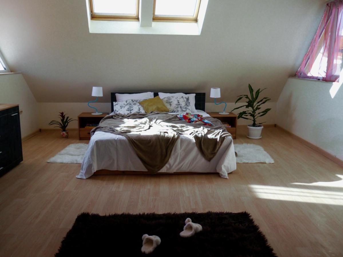 Altavista Mountain Apartment Samokov Luaran gambar