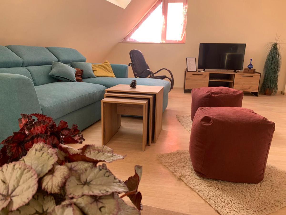 Altavista Mountain Apartment Samokov Luaran gambar